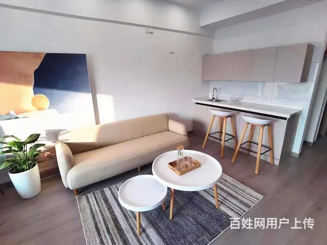 找我优惠手付5万起青枫公园旁精品小公寓宝龙广场看房提前联系 - 图片 6