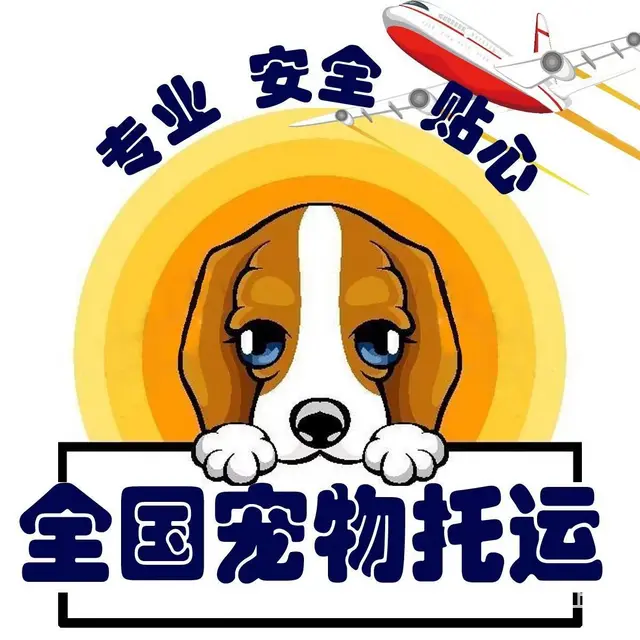 辽阳宠物托运 （猫狗活体运输）宠物快递至全国 - 图片 1