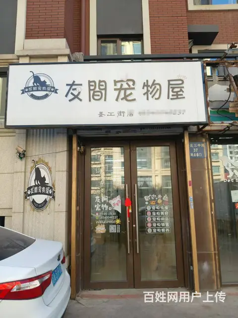铁西区其仕和颂西北门宠物店出兑，可空兑 - 图片 1