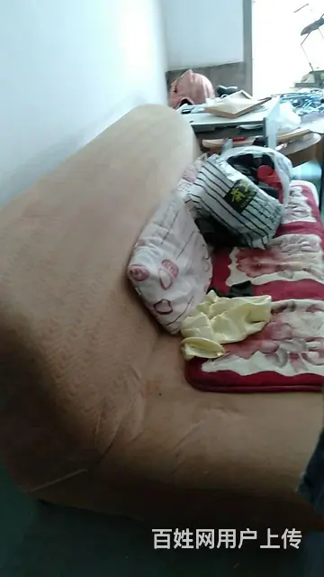 旧沙发给钱就卖 - 图片