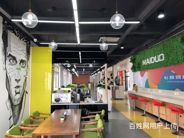 张浦镇港浦中路156号淞南科技园标准联合办公区/小型办公室出 - 图片 5