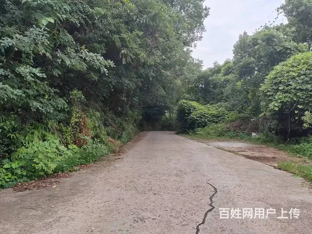 （老板本人）岳麓区金洲大道附近厂房房东低价出租 5300 - 图片 3