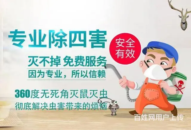 除百虫除四害灭蟑螂、灭蚂蚁、灭老鼠、灭蚂蚁 - 图片 7