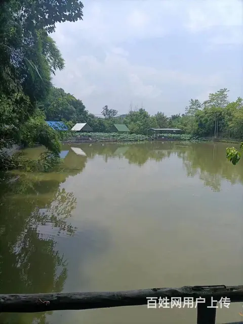 精选）大马路边农家乐出租或者出售 - 图片 5