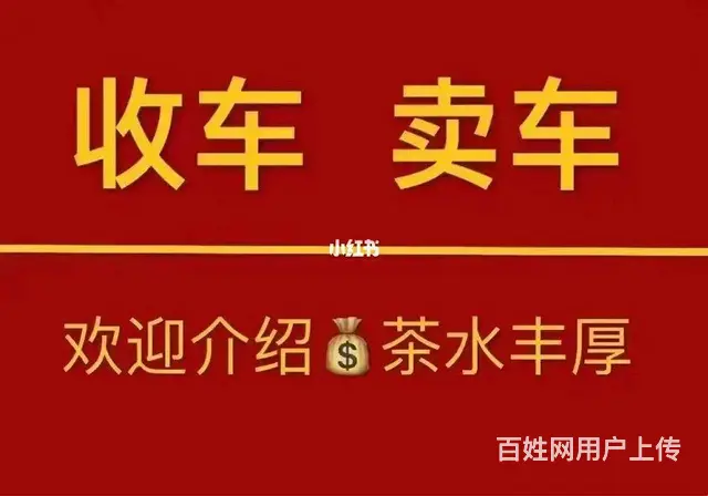 嘉兴各品牌新车、二手车批发 - 图片 3
