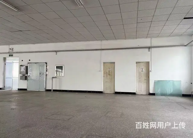（新房源）羊亭和兴路附近标准厂房出租可分租 - 图片 4