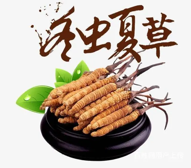 邢台回收冬虫夏草放心交易的门市位置 - 图片 2