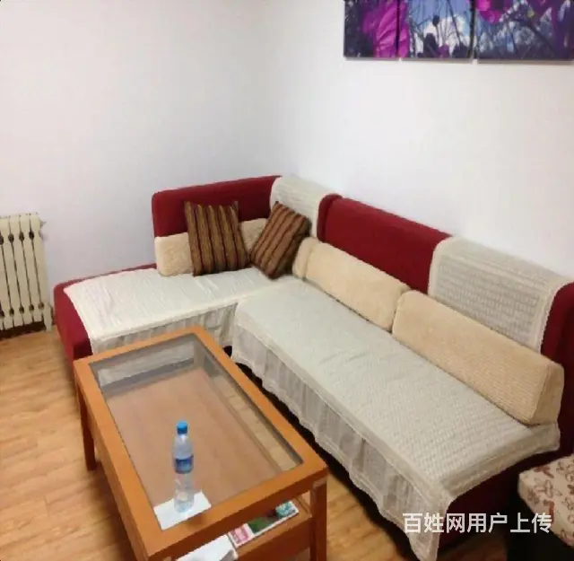 振华国际精装二室一厅南向好房出租了 - 图片 2