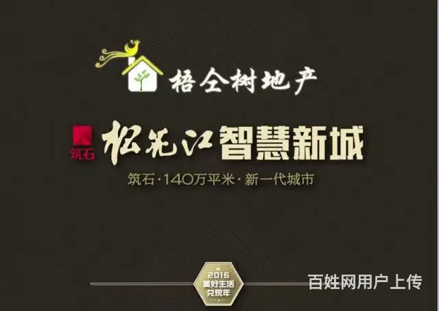 上风上水江景资源 绝版电梯洋房 自己的小别墅 - 图片 5