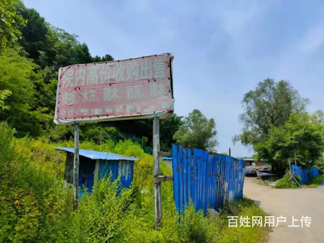 望花木材边角料废旧木头雷子废旧木材回收 - 图片 1