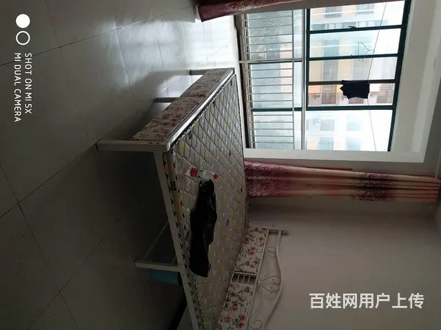 个人出租非诚勿扰 - 图片 3