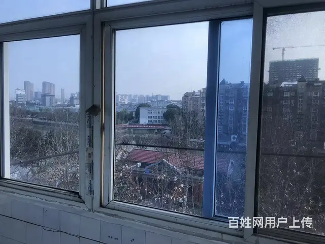 桃园新村 24中 复式带大露台 四房二厅二卫 低价出售 - 图片 8