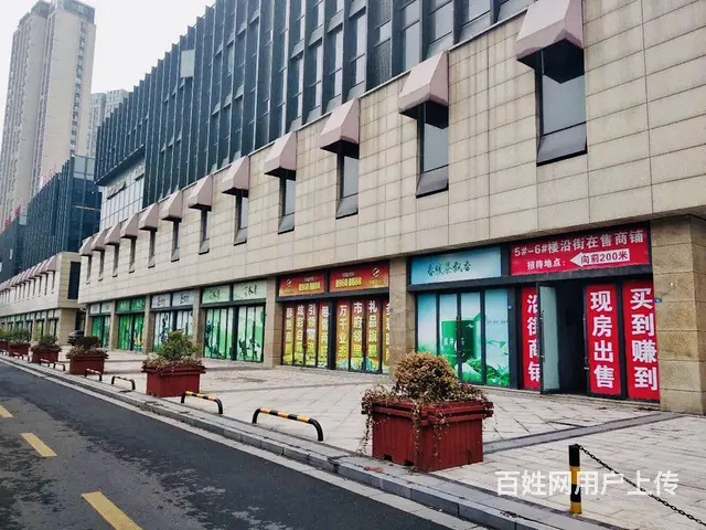 新北市政府对面典雅花园低总价**旺铺年租金8个点售 - 图片 2