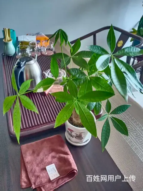 真诚征婚女76年离婚单身开公司 - 图片