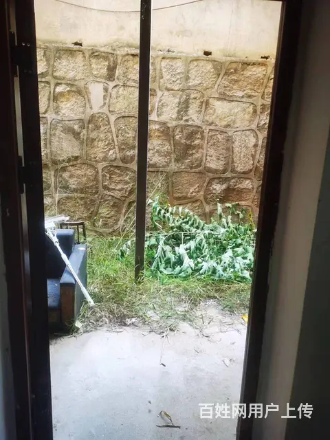 （老板房源）望城雷锋大道北津学院后街商铺优价出租（可分租 - 图片 3