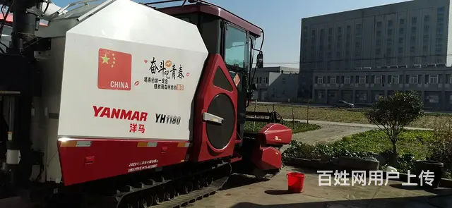精品1180 - 图片 7