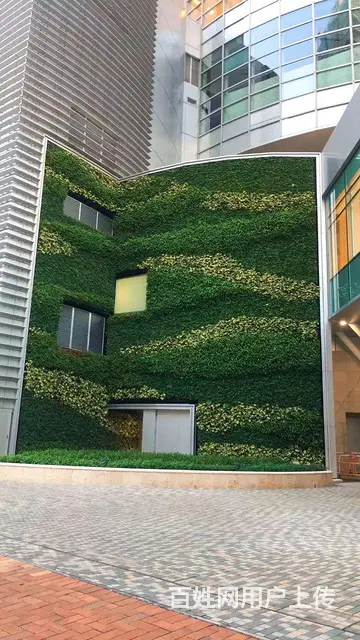 广州市政鲜花工程  假花工程  市政景观工程 市政 - 图片 3
