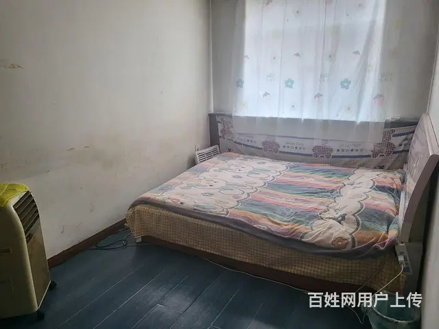 一家人 - 图片 5