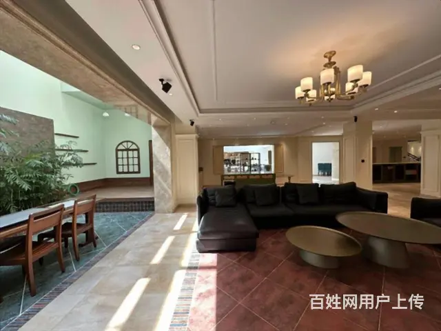 汇锦庄园 双拼别墅 使用1000米 8室带车库 300米花园 - 图片 5