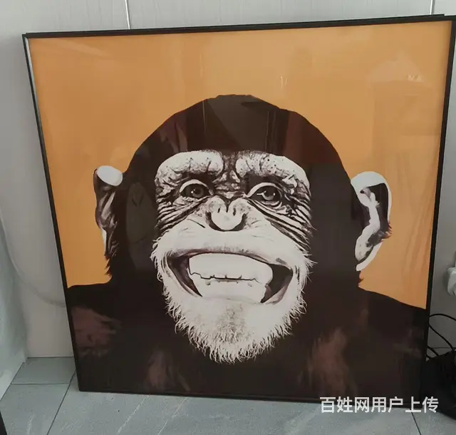 高档上档次挂件装修 - 图片 2