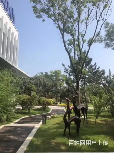 威海五渚河生态城 盘福园 精致新城 人居典范 - 图片 6