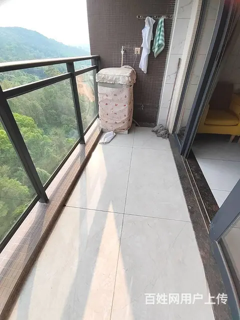 可租可售，摩尔城电梯靓楼层3房89方背靠芙蓉山南向家私电器全 - 图片 10