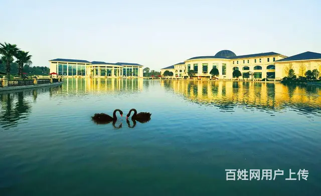 别墅出租 - 图片 3