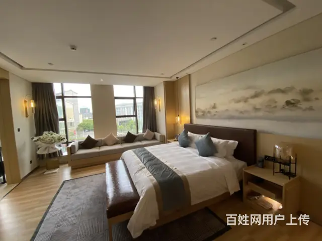 南华春天 公寓1厅 豪华装修 - 图片 1