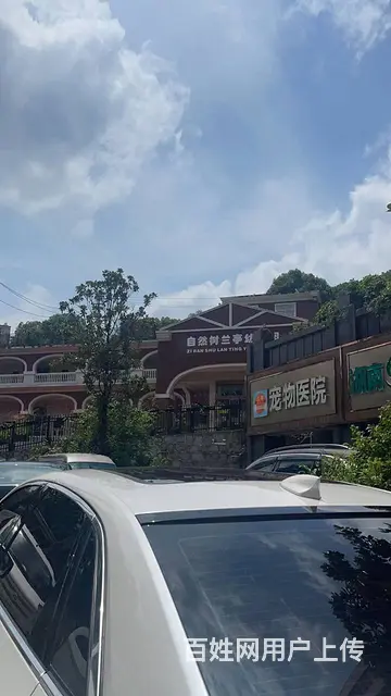 个人香樟兰亭成熟小区精装门面出租(房东直租) 编号3013 - 图片 6