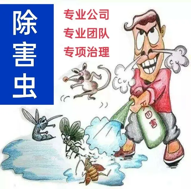 秦皇岛灭蟑螂.蚂蚁.老鼠等害虫 - 图片 1