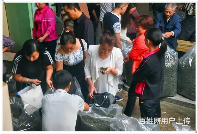 天晟茶艺培训学校招生简章 - 图片 2
