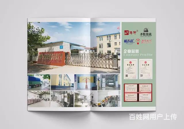 专业画册设计、单页设计、企业通讯录设计、折页设计 - 图片 4