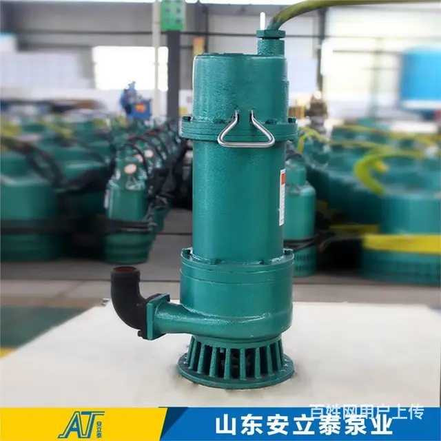 甘南1bqs系列矿用隔爆型排污排沙潜水电泵厂家 - 图片 1