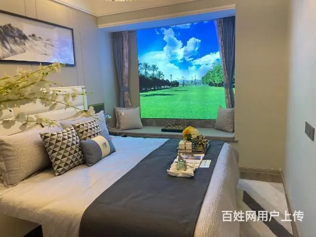 金鹏风华北辰轻轨口年底拿房，南京半生活圈 - 图片 8
