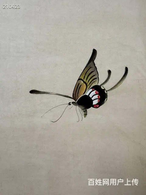 俞致贞 耄耋图 ，尺寸132x64.5cm - 图片 5