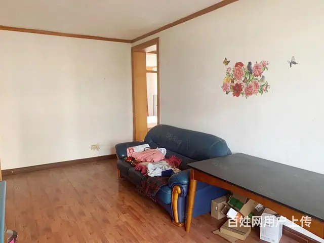 实验小学二室66平精装修南北无大税无协议急售64万 - 图片 5