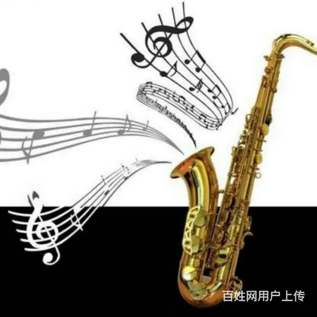 太仓市萨克斯表演演出独奏乐器表演婚礼演出公司周年庆 - 图片 2
