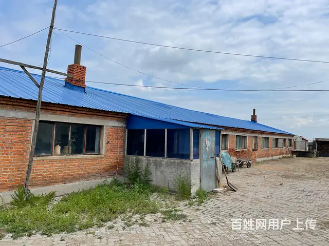 厂房养殖场出卖 - 图片 5