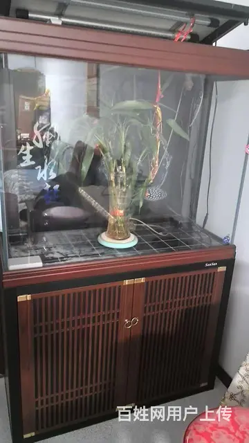 精品鱼缸买时候6000多九成新 - 图片 1