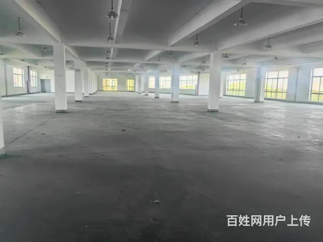 单层2000平注塑厂房出租，层高9米，有环评。可挂靠 - 图片 4