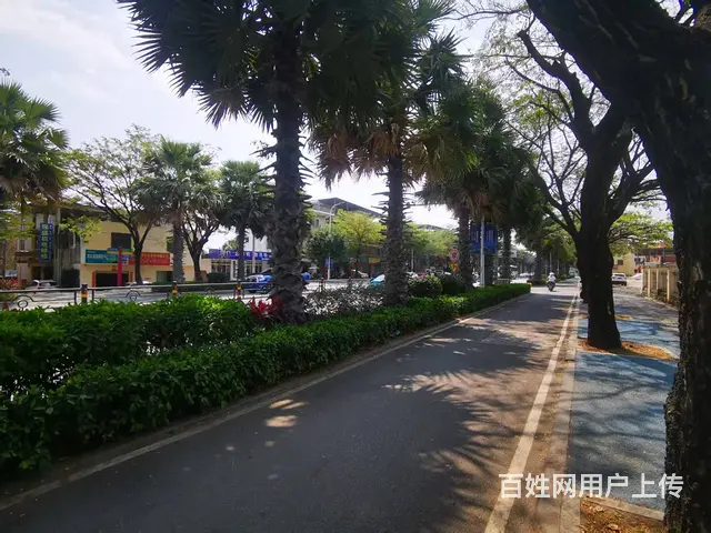 （51旺铺推荐）天涯区水蛟路临街整栋600平出租（房东直租 - 图片 12