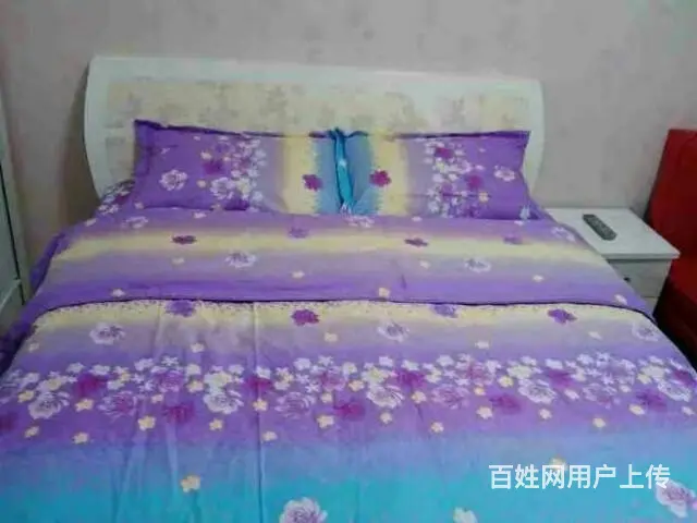 浪漫温馨爱情公寓无线网络 - 图片 5