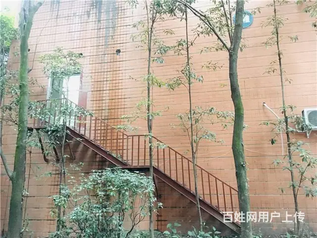 （同城搜铺网）西外罗浮阳光150平旺铺转让出租(可分租) - 图片 8