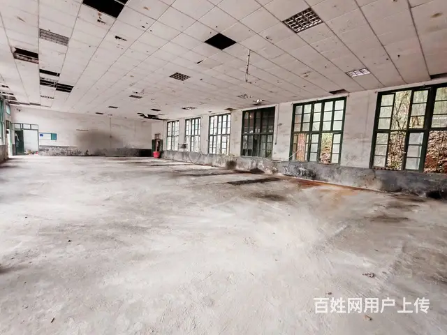 （老板本人）宁乡高速旁独门独院厂房出租  6116 - 图片 11