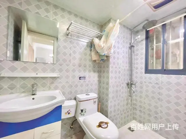 实图可月付 彩虹新村 精装电梯两房朝南一样大 采光好 - 图片 6