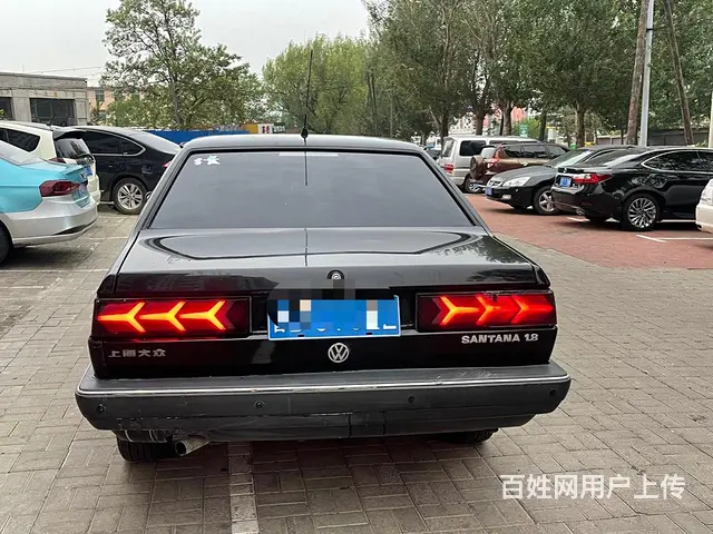 普桑 - 图片 6
