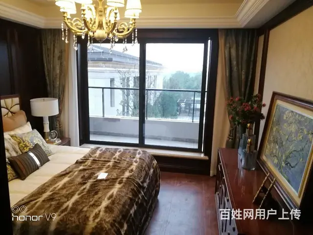 祥生新式联排别墅 三大商圈 区政府旁 师范附属学校 - 图片 2