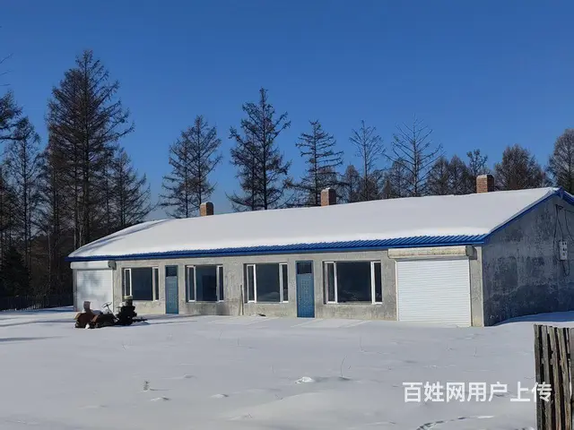 林场平房出售 - 图片 1