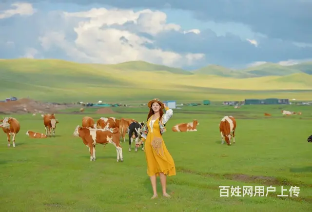 呼伦贝尔旅游包车向导巴特尔向导好 - 图片 1