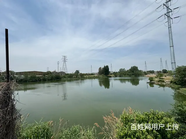 （徐州找店网）泉山区40亩鱼塘出租 - 图片 2
